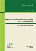 Stefan Vogt - Fehleranalyse handelsrechtlicher Jahresabschlüsse: Eine empirische Erhebung