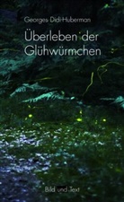 Georges Didi-Huberman, Georges Didi-Hubermann, Gottfried Boehm, Gabriel Brandstetter, Gabriele Brandstetter, Karlheinz Stierle - Überleben der Glühwürmchen