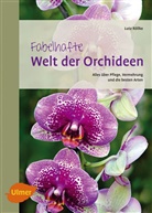 Lutz Röllke - Fabelhafte Welt der Orchideen
