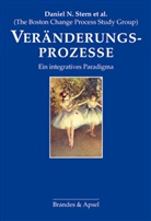 Nadia Bruschweiler-Stern, Lyons-Ru, Karlen Lyons-Ruth, Alexander C. Morgan, Jeremy P. Nahum, Louis P. Sander... - Veränderungsprozesse