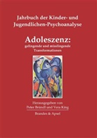 Pete Bründl, Peter Bründl, King, King, Vera King - Adoleszenz: gelingende und misslingende Transformationen
