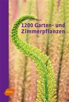 Martin Haberer - 1200 Garten- und Zimmerpflanzen