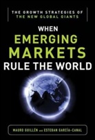 Mauro F. en, Esteban Garcia-Canal, Garcia-Canal Esteban, Guill&amp;apos, GUILLEN, Mauro Guillen... - Emerging Markets Rule