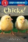 Jon Goodell, Sandra Horning, Jon Goodell - Chicks!
