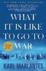 Karl Marlantes - What Its Like to Go to War