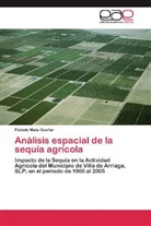 Fabiola Mata Cuellar - Análisis espacial de la sequía agrícola