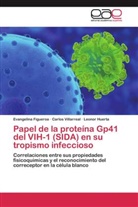 Evangelin Figueroa, Evangelina Figueroa, Le Huerta, Leonor Huerta, Carlo Villarreal, Carlos Villarreal - Papel de la proteína Gp41 del VIH-1 (SIDA) en su tropismo infeccioso