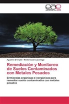 Agustin Branzini, Agustina Branzini, Marta Susana Zubillaga - Remediación y Monitoreo de Suelos Contaminados con Metales Pesados