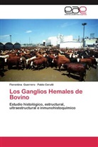 Pablo Cerutti, Florentin Guerrero, Florentina Guerrero - Los Ganglios Hemales de Bovino