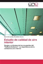 Maria de Lourdes Rebolledo Garcia - Estudio de calidad de aire interior