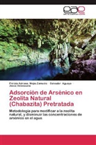 Salvado Aguayo, Salvador Aguayo, Flérida Adrian Mejía Zamudio, Flérida Adriana Mejía Zamudio, Va, Jesús Valenzuela - Adsorción de Arsénico en Zeolita Natural (Chabazita) Pretratada