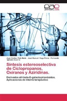 Ig, Fernando Iglesias Guerra, Juan Carlo Palo Nieto, Juan Carlos Palo Nieto, José Manue Vega Pérez, José Manuel Vega Pérez - Síntesis estereoselectiva de Ciclopropanos, Oxiranos y Aziridinas.