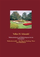 Volker H Schendel, Volker H. Schendel - Wahlrechtstheorie und Wahlrechtspraxis bei der Piratenpartei