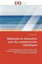 Ahmed Ghalgaoui, Ghalgaoui-a - Molecules en interaction avec des