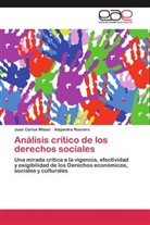 Alejandra Roovers, Juan Carlo Wlasic, Juan Carlos Wlasic - Análisis crítico de los derechos sociales