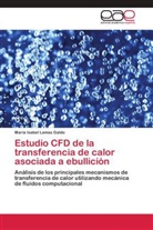 Mª Isabel Lamas Galdo, María Isabel Lamas Galdo - Estudio CFD de la transferencia de calor asociada a ebullición