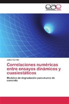 Julián Carrillo - Correlaciones numéricas entre ensayos dinámicos y cuasiestáticos