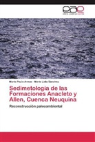 María Paul Armas, María Paula Armas, María Lidia Sánchez - Sedimetología de las Formaciones Anacleto y Allen, Cuenca Neuquina
