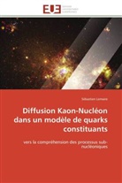Sébastien Lemaire, Lemaire-s - Diffusion kaon nucleon dans un