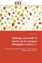 Alfa Oumar Dissa, Dissa-a - Sechage convectif et solaire de