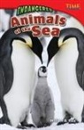 Bill Rice, William Rice, William B Rice, William B. Rice - Endangered Animals of the Sea