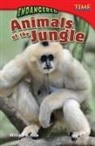Bill Rice, William Rice, William B Rice, William B. Rice - Endangered Animals of the Jungle
