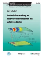 Lars Schubert, Lars Schubert - Zustandsüberwachung an Faserverbundwerkstoffen mit geführten Wellen