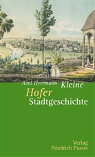 Axel Herrmann - Kleine Hofer Stadtgeschichte