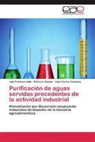 Patrici Blanes, Patricia Blanes, Jua González, Juan Carlos González, Luis Federic Sala, Luis Federico Sala - Purificación de aguas servidas procedentes de la actividad industrial