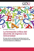Ana Bidiña, Amelia Zerillo - La formación crítica del docente de ingreso a la Universidad