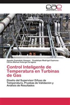 Carlos Manuel Astorga Zaragoza, Agustí Espíndola Vásquez, Agustín Espíndola Vásquez, Guad Madrigal Espinosa, Guadalupe Madrigal Espinosa - Control Inteligente de Temperatura en Turbinas de Gas