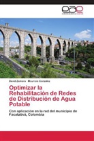 Mauricio González, Davi Zamora, David Zamora - Optimizar la Rehabilitación de Redes de Distribución de Agua Potable