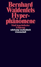 Bernhard Waldenfels - Hyperphänomene