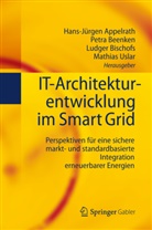Hans-Jürgen Appelrath, Petr Beenken, Petra Beenken, Ludger Bischofs, Ludger Bischofs u a, Mathias Uslar - IT-Architekturentwicklung im Smart Grid