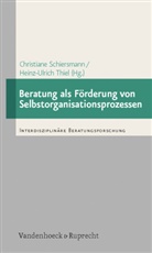 Christiane Schiersmann, Heinz Ulrich Thiel, Christian Schiersmann, Christiane Schiersmann, THIEL, Thiel... - Beratung als Förderung von Selbstorganisationsprozessen