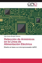Juan Carlos Obregón Valencia - Detección de Armónicos en la Línea de Alimentación Eléctrica