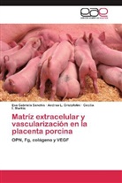 Andrea Cristofolini, Andrea L Cristofolini, Andrea L. Cristofolini, Merki, Cecilia I. Merkis, Eva Gabriel Sanchis... - Matríz extracelular y vascularización en la placenta porcina