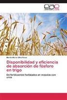 Martín María Silva Rossi - Disponibilidad y eficiencia de absorción de fósforo en trigo