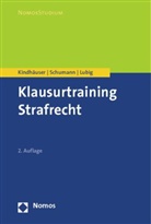 Kindhäuse, Ur Kindhäuser, Urs Kindhäuser, Lubig, Sebastian Lubig, Schuman... - Klausurtraining Strafrecht