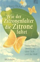 Ludwig Burgdörfer - Wie der Zitronenfalter die Zitronen faltet