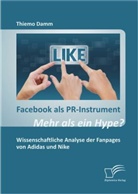 Thiemo Damm - Facebook als PR-Instrument: Mehr als ein Hype?