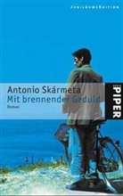 Antonio Skármeta - Mit brennender Geduld, JubiläumsEdition