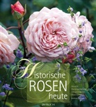 Andreas Barlage - Historische Rosen heute