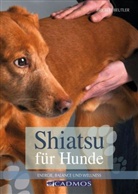 Brigitte Beutler - Shiatsu für Hunde