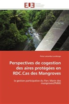 Peter Lukamba Lundengo, Lundengo-p - Perspectives de cogestion des