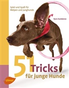 Nick Saglimbeni, Kyra Sundance, Nick Saglimbeni - 51 Tricks für junge Hunde