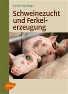 Prof. Dr. Steffen Hoy, Steffen Hoy, Steffen Hoy - Schweinezucht und Ferkelerzeugung