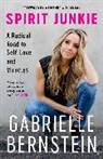 Gabrielle Bernstein, Marianne Williamson - Spirit Junkie