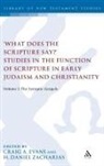 Craig A Evans, Craig A. (EDT)/ Zacharias Evans, H Daniel Zacharias, H. Daniel Zacharias, Craig A. Evans, Daniel H. Zacharias... - What Does Scripture Say Studies in Function of Scripture in Early