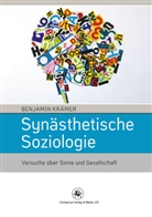 Benjamin Krämer - Synästhetische Soziologie